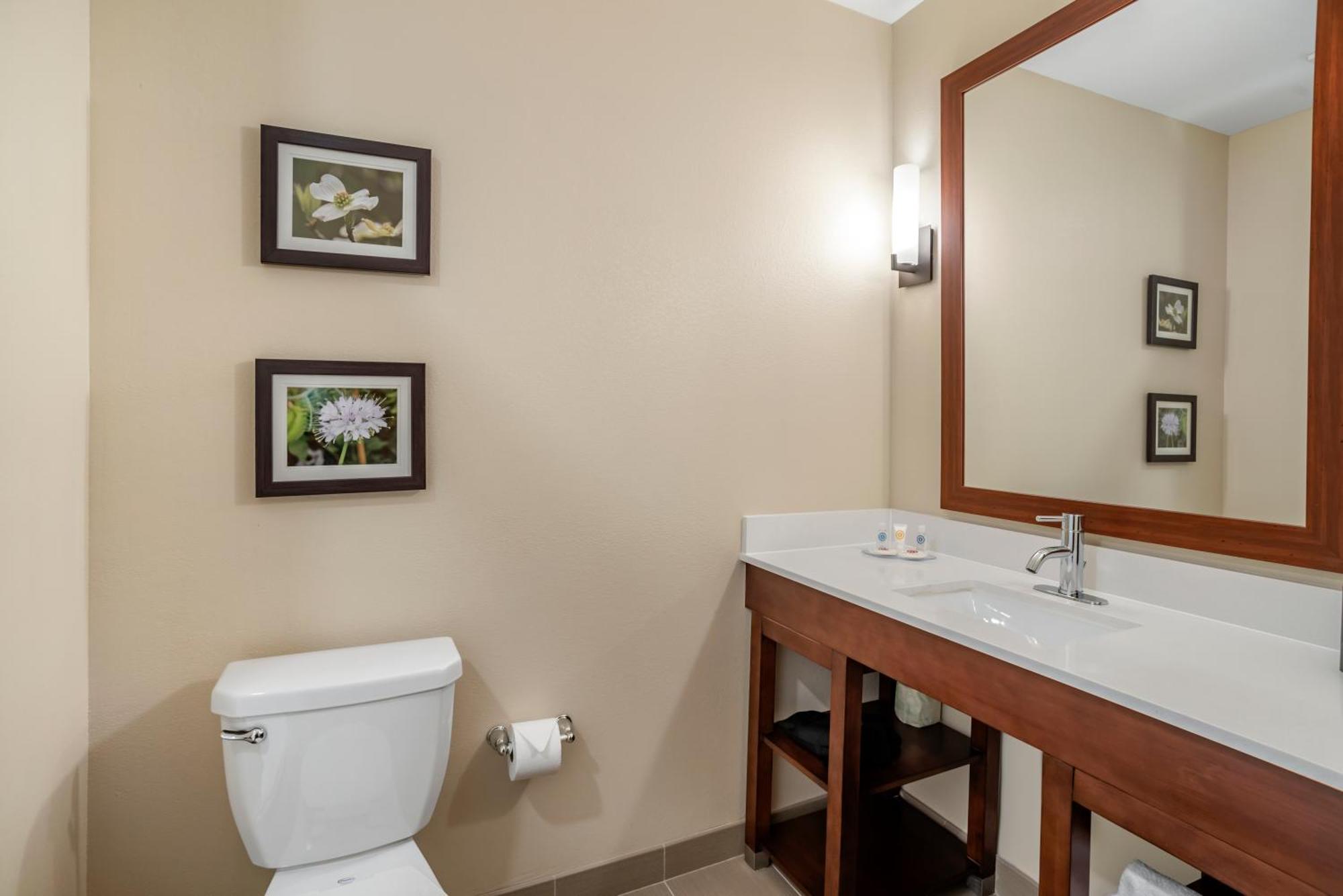 Comfort Inn & Suites Winchester Værelse billede