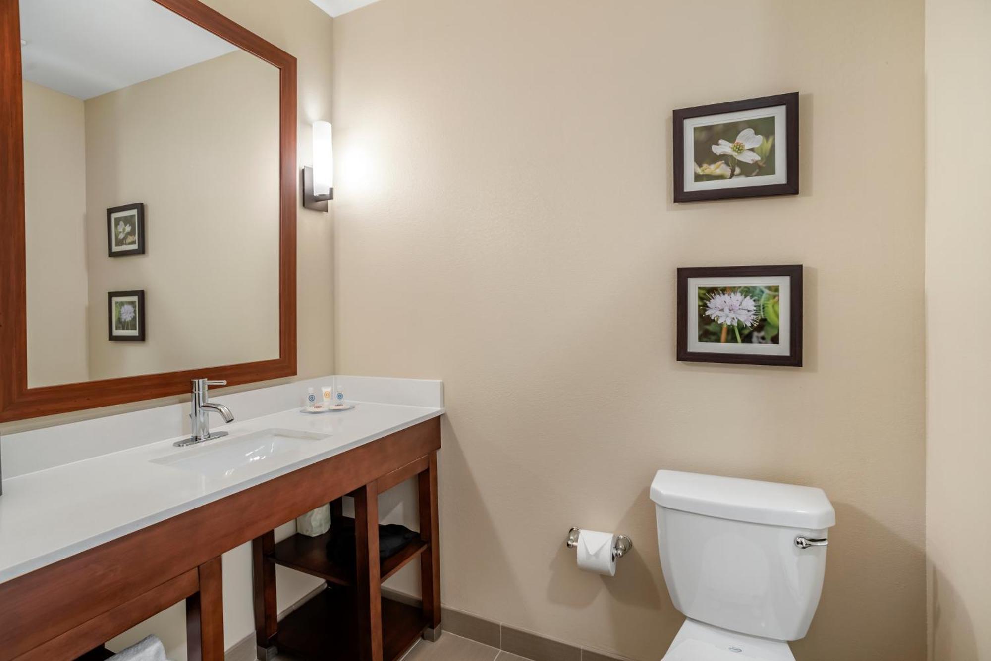 Comfort Inn & Suites Winchester Værelse billede